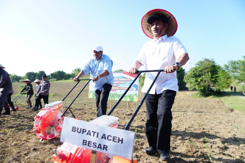 Wakil Bupati Aceh Besar Drs Syukri A Jalil mendampingi Kapolda Aceh pada saat Tanam Raya Jagung Serentak Kuartal I yang berlokasi di Gampong Data Gaseu, Kecamatan Seulimeum, Aceh Besar, Sabtu (07/03/2026).