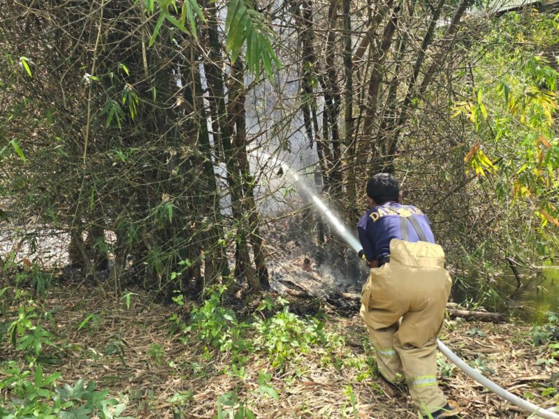 Petugas Damkar BPBD Aceh Besar berupaya memadamkan api yang membakar rumpun bambu, di Gampong Bada, Kecamatan Ingin Jaya, Kabupaten Aceh Besar, Minggu (08/03/2026) siang.