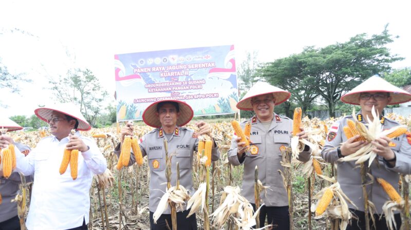 Kapolda Aceh Irjen Pol. Drs. Marzuki Ali Basyah, M.M. menunjukkan hasil panen jagung saat menghadiri kegiatan Panen Raya Jagung Serentak Kuartal II di lahan pertanian Desa Ketapang Indah, Kecamatan Singkil Utara, Kabupaten Aceh Singkil, Sabtu (16/5/2026). Foto:Dok Ist 