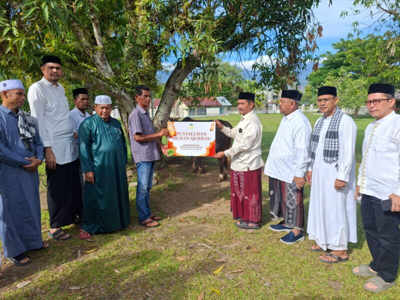 Wakil Bupati menyalurkan hewan qurban bantuan Pemerintah Kabupaten Aceh Besar kepada masyarakat dalam rangka menyambut Hari Raya Iduladha 1447 Hijriah. Penyerahan hewan qurban tersebut berlangsung di Halaman Masjid Agung Al Munawarrah, Kota Jantho, Rabu (27/05/2026).